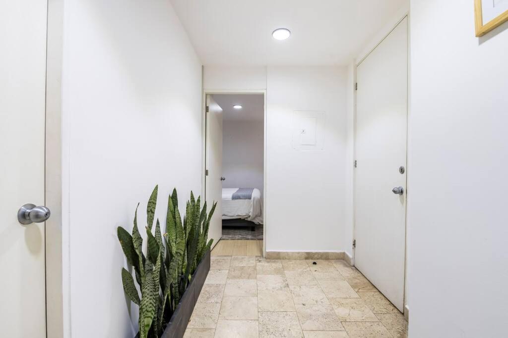 شقة Loft Donceles 6 Cdmx! مدينة مكسيكو المظهر الخارجي الصورة
